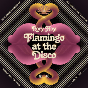 Flamingo at the Disco - Rory Hoy | Song Album Cover Artwork