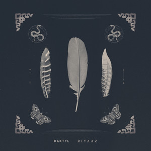 Warpaint (feat. DUCKWRTH) - Daktyl | Song Album Cover Artwork