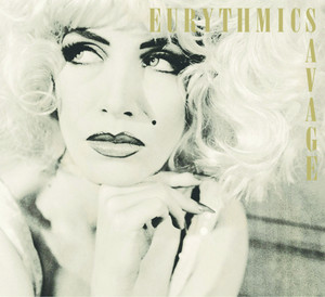You Have Placed a Chill In My Heart Eurythmics | Album Cover