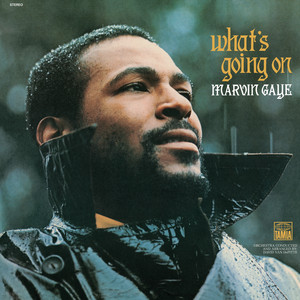 Mercy Mercy Me (The Ecology) - Marvin Gaye | Song Album Cover Artwork