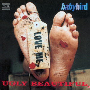 You're Gorgeous Babybird | Album Cover