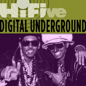 Same Song - Edit Version - Digital Underground | Song Album Cover Artwork