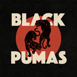 Fire - Black Pumas | Song Album Cover Artwork