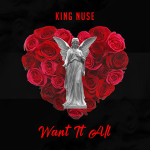 Want It All - King Nuse | Song Album Cover Artwork