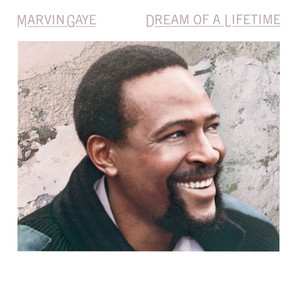 Dream of a Lifetime Marvin Gaye | Album Cover