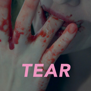 Never Fade Away TEAR | Album Cover