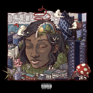 Picture Perfect - Little Simz