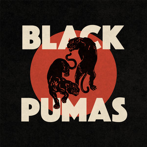 Colors - Black Pumas | Song Album Cover Artwork