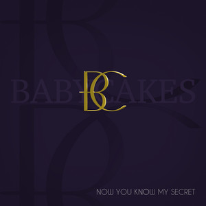 You'll Never Find Another - Babycakes | Song Album Cover Artwork