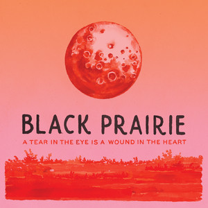 How Do You Ruin Me? - Black Prairie | Song Album Cover Artwork