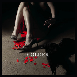 Wrong Baby - Colder | Song Album Cover Artwork