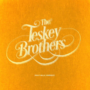 Pain and Misery The Teskey Brothers | Album Cover