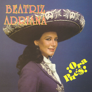Adios y Bienvenida - Beatriz Adriana | Song Album Cover Artwork