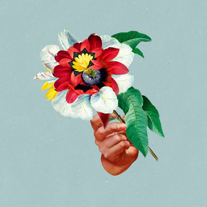 Beginner's Luck - Maribou State | Song Album Cover Artwork