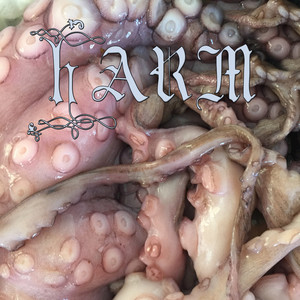 Harm - IO Echo | Song Album Cover Artwork