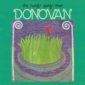 Hurdy Gurdy Man - Donovan | Song Album Cover Artwork