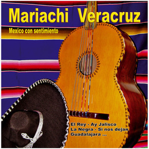 La Negra - Mariachi Veracruz | Song Album Cover Artwork