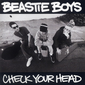 So What'cha Want - Beastie Boys | Song Album Cover Artwork
