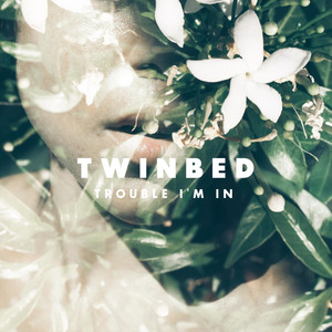 Trouble I'm In - Twinbed | Song Album Cover Artwork