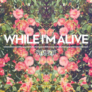 While I'm Alive - STRFKR | Song Album Cover Artwork
