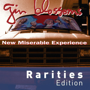 Soul Deep - The Gin Blossoms | Song Album Cover Artwork