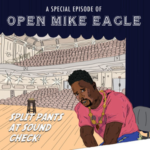 Split Pants in Detroit (Or Hyrule) Open Mike Eagle | Album Cover