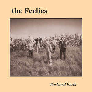 When Company Comes - The Feelies | Song Album Cover Artwork