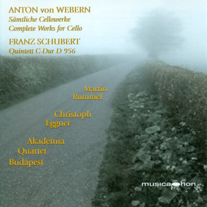String Quartet in C Major, Op. 163, D. 956: III. Scherzo: Presto - Trio - Andante Sostenuto - Budapest String Quartet & Pablo Casals | Song Album Cover Artwork