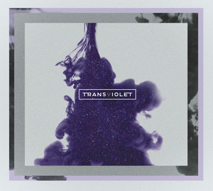 Bloodstream Transviolet | Album Cover