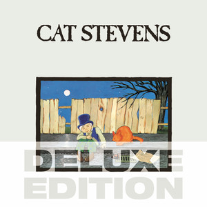 Peace Train - Cat Stevens | Song Album Cover Artwork