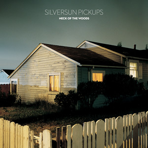 Skin Graph Silversun Pickups | Album Cover