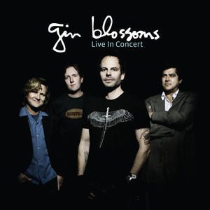 Idiot Summer - The Gin Blossoms | Song Album Cover Artwork