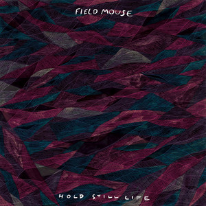 Happy Field Mouse | Album Cover