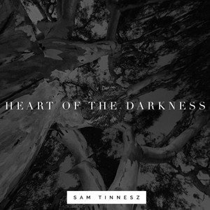 Heart of the Darkness Sam Tinnesz | Album Cover