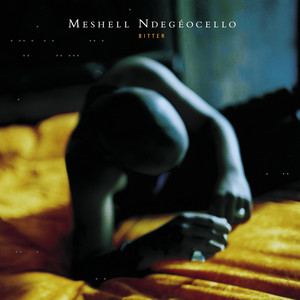 Faithful Meshell Ndegeocello | Album Cover