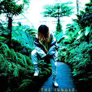 The Jungle - Destiny Roberts | Song Album Cover Artwork