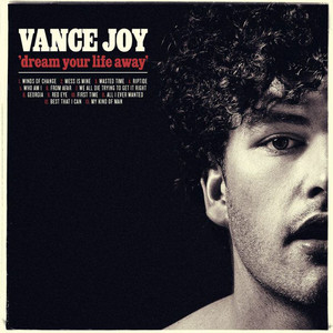 Best That I Can - Vance Joy