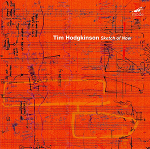 Fragor - Tim Hodgkinson | Song Album Cover Artwork