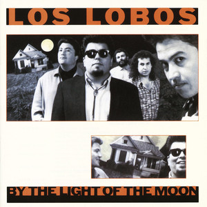 Shakin' Shakin' Shakes - Los Lobos | Song Album Cover Artwork