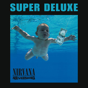 On a Plain - Nirvana | Song Album Cover Artwork