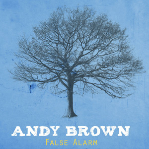 Ashes Andy Brown | Album Cover