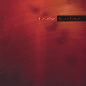 The River Leads Me Home Steve Ward | Album Cover