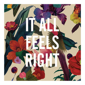It All Feels Right Washed Out | Album Cover