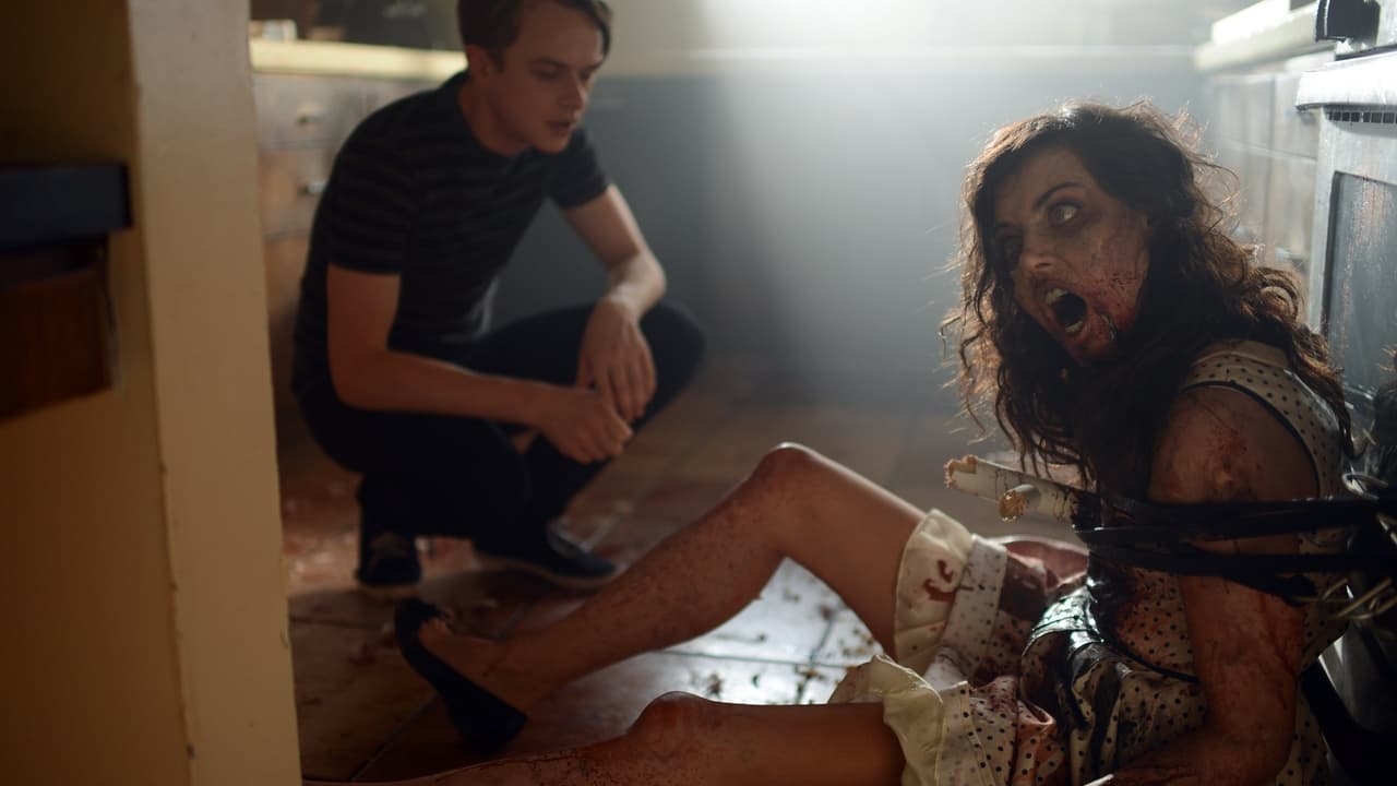 Life After Beth 2014 - Movie Banner