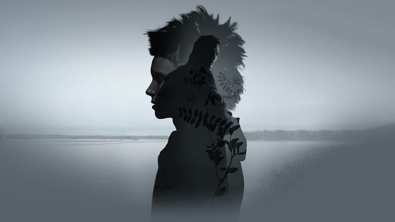 The Girl With the Dragon Tattoo 2011 - Movie Banner
