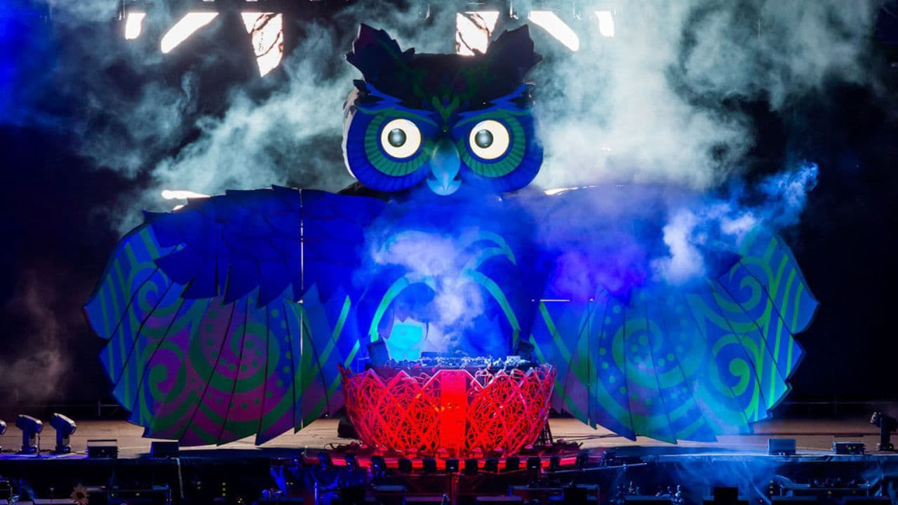 Under the Electric Sky 2014 - Movie Banner