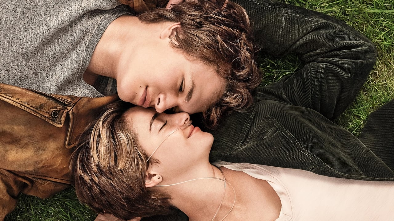 The Fault In Our Stars 2014 - Movie Banner