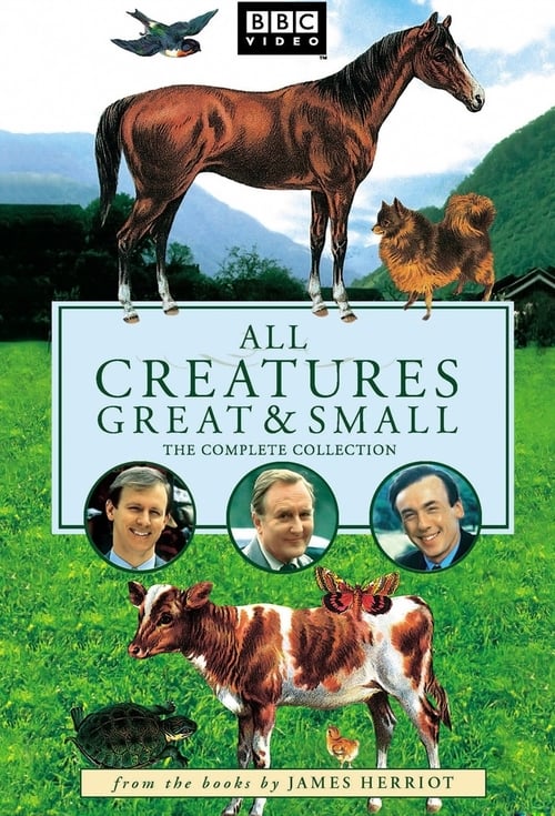 All Creatures Great and Small -  poster